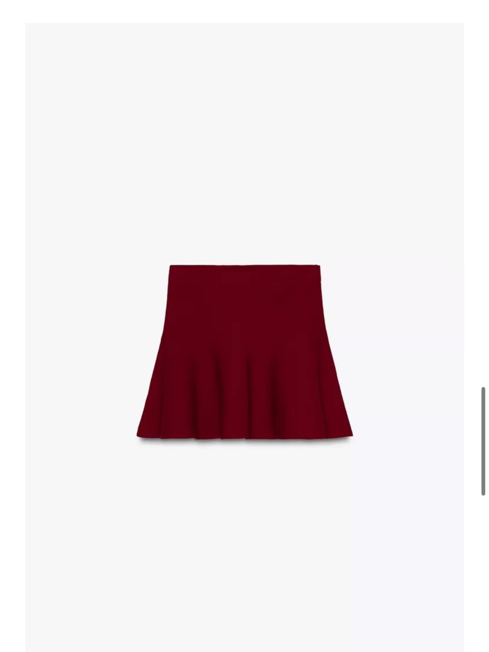 Zara Wine Red Circle Skirt